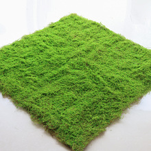 植物墙仿真苔藓绿色假苔藓青苔微景观盆景造景装饰材料草坪草皮