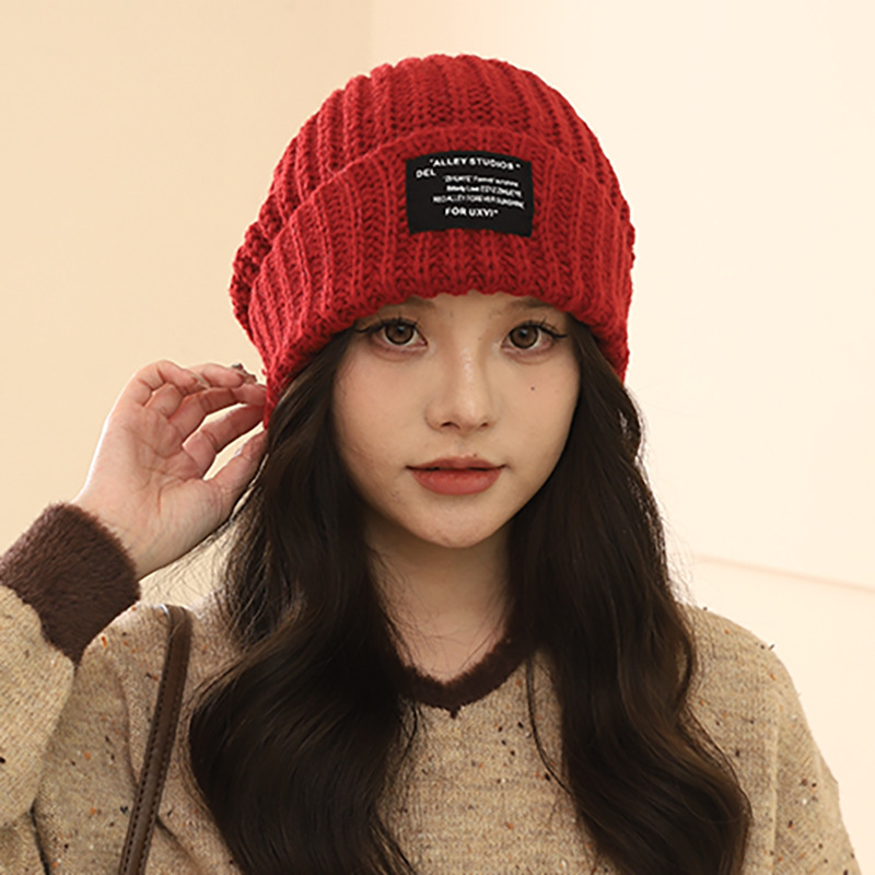 Lana oversize tinta unita per autunno e inverno, pile lavorato a maglia, versione coreana, coppia femminile all'aperto, escursioni calde_voghion.com