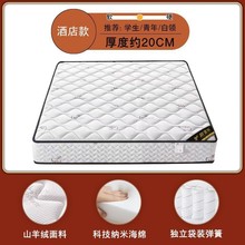 XMS���|�o��������������20cm�����zҬ��ƫӲ������ⷿ����