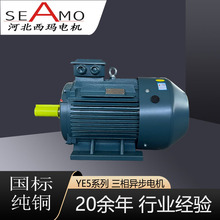 �ӱ�����늙C�������aYE5-2�O3-355kw����Ч���ஐ��늄әC