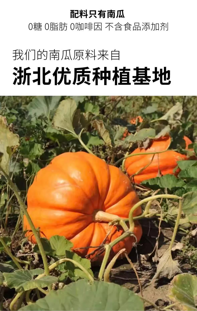 Pumpkin Tea Bags Nan Gua Cha Cold Brew Wellness Tea 30g Individually Wrapped Sugar Free key features