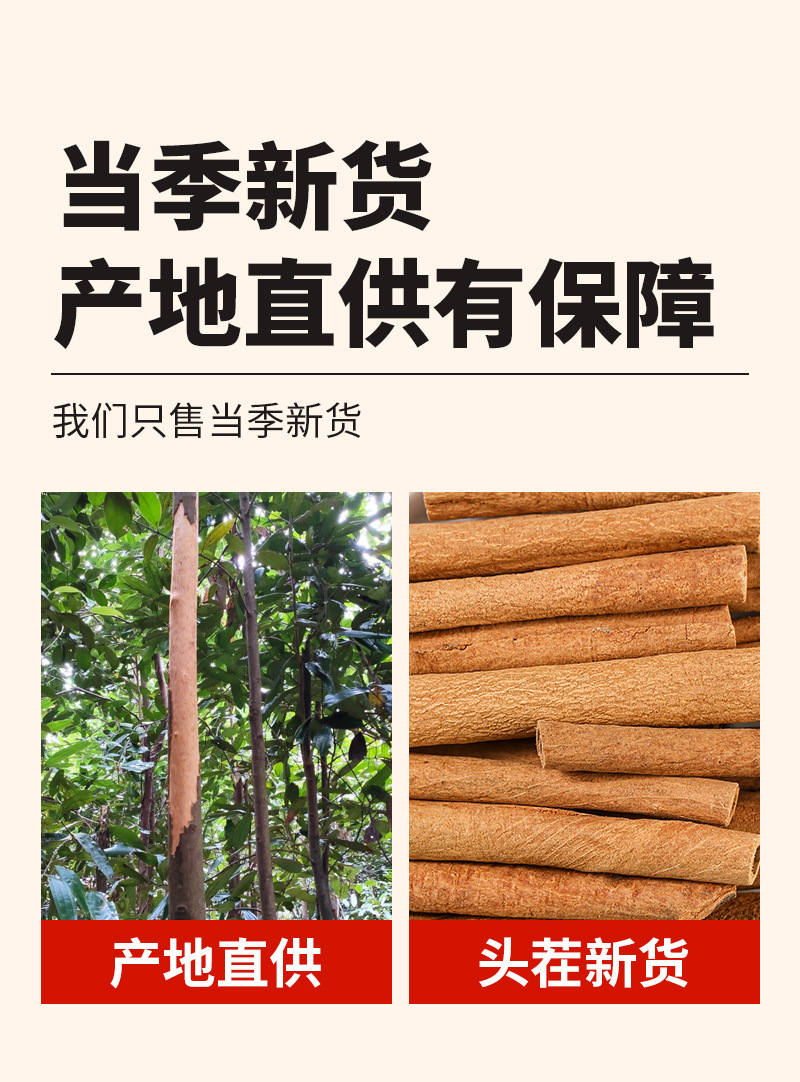 Cinnamon Bark (Cinnamomum cassia) — Dried Gui Pi Spice for Braised Dishes & Soups quality and texture