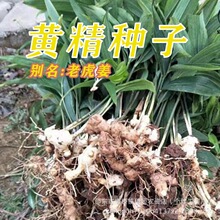 �S���N���S���ѽ��Ͷ໨�S���N�ӵ����u�^���������S�����ѳ�ѿ��