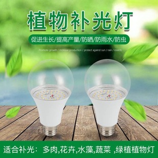 LED����ֲ�����̫ꖹ�������ջ���ݮ�m���ܰ�����a������¼�