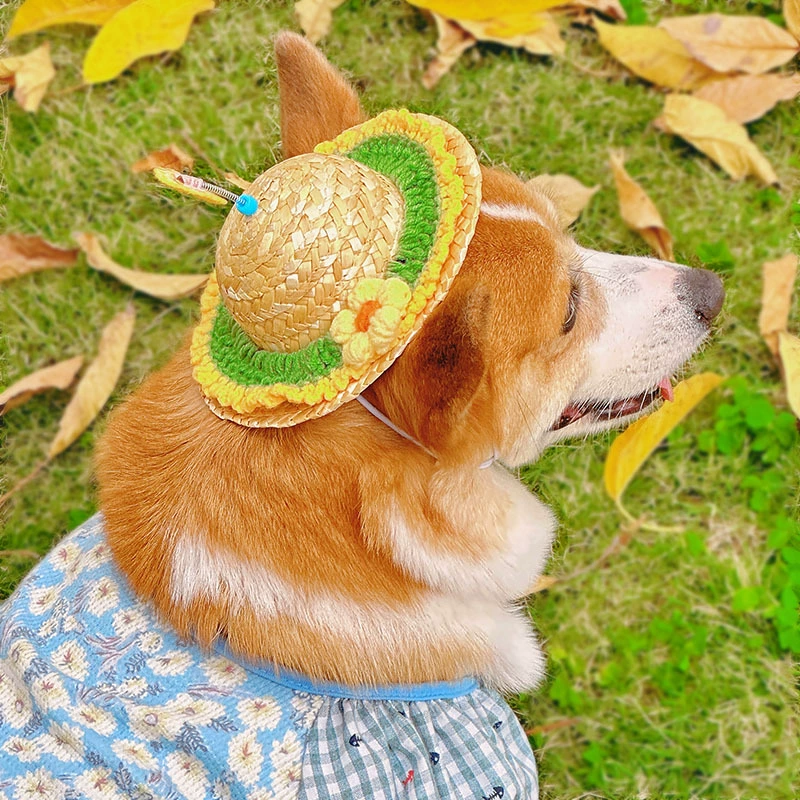 Домашние собаки шляпы сетка красная бамбуковая стрекоза соломенная шляпа козырька милые корги Тедди декоративные аксессуары для головных уборов