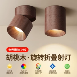 射灯;筒灯;LED球泡灯