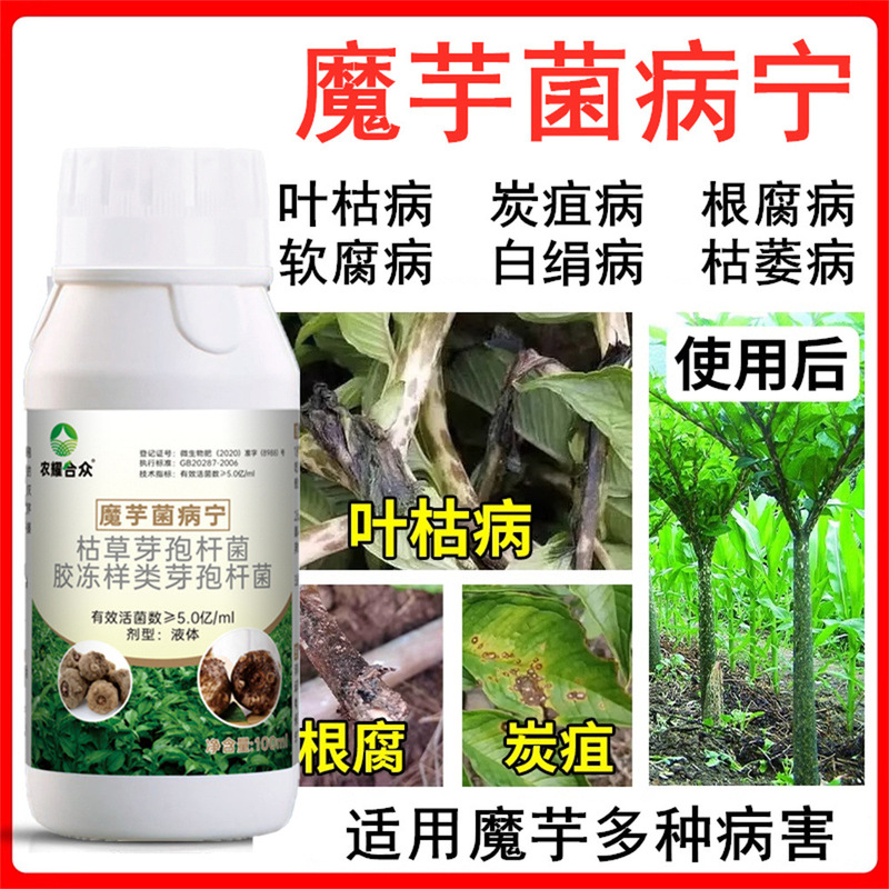 Konjac Anti-Disease Medicine, Special Foliar Fertilizer for Soft Rot, Stem Rot, Leaf Rot, Root Rot, Rot, White Silk Disease, Rotten Fruit Konjac Anti-Disease Medicine, Special Foliar Fertilizer for Soft Rot, Stem Rot, Leaf Rot, Root Rot, Rot, White Silk Disease, Rotten Fruit