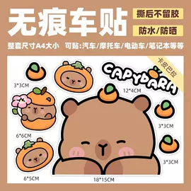 车身贴;其他汽车外饰;其他电动车