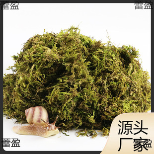 �I�B��������Ҭ������΁ţ�|���}�����x̦�\���������΁ţ��B