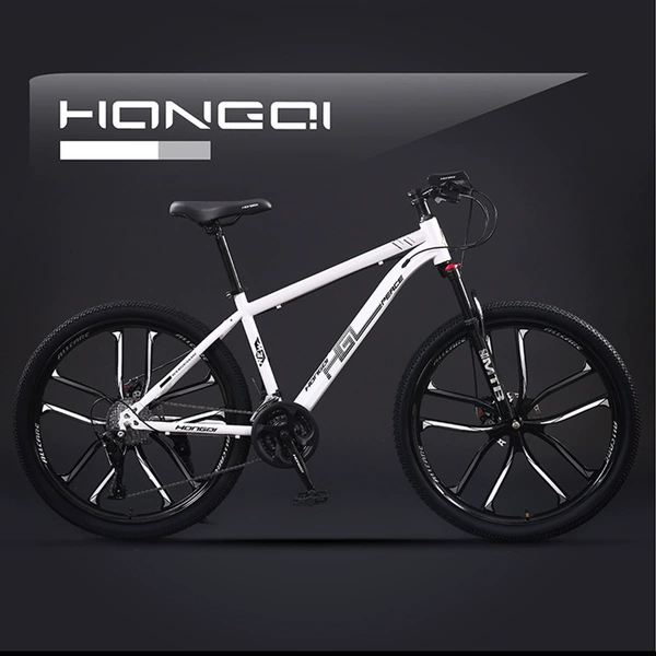 Guoya-Silk White-Ten-Drive Integrated Wheel (full bearing of the whole vehicle-speed-tracking inside the transmission)