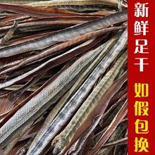 海蛇干货泡酒海宝料骨痛料煲汤滋补海蛇海味海味虾膨鳃鱼鳃批发