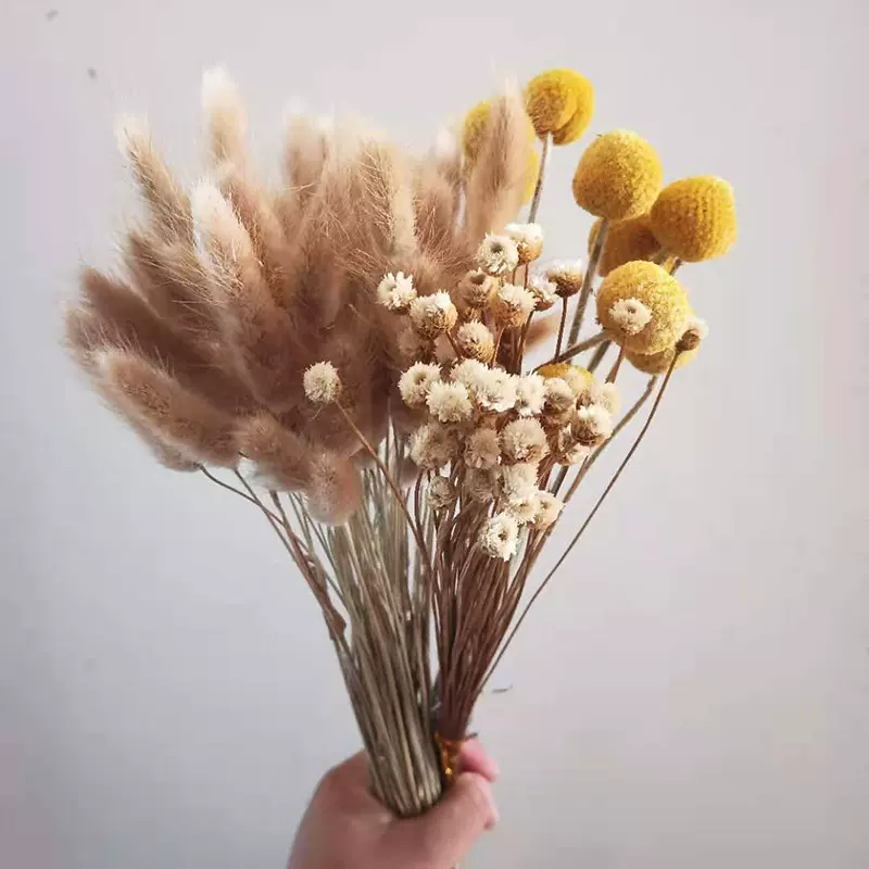 兔尾草快乐花黄金球干花花束组合搭配拍摄道具 装饰 客厅家居插花