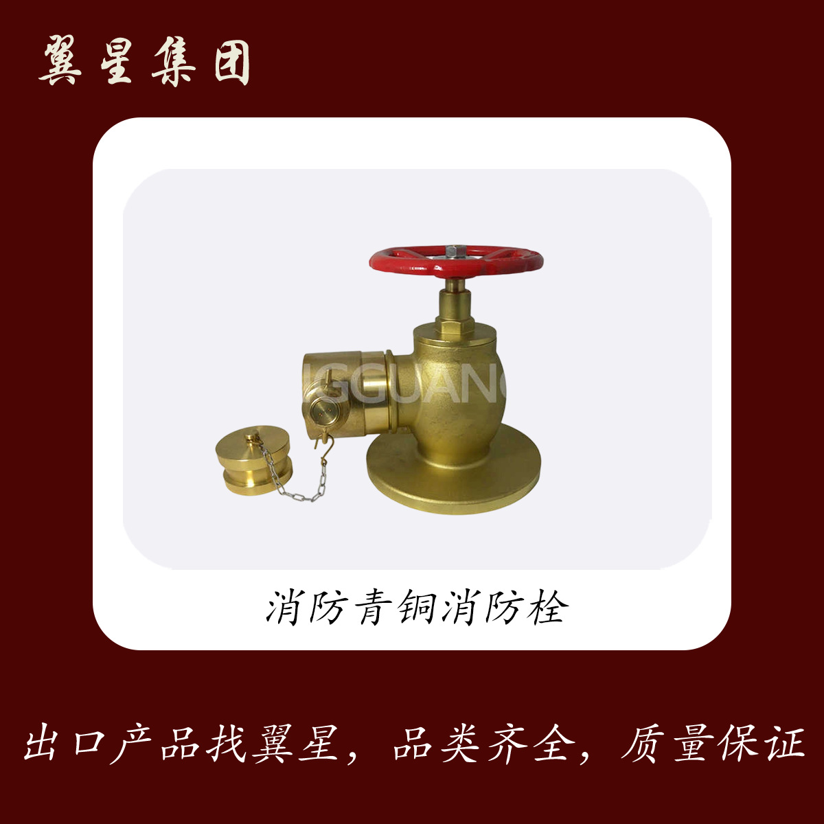 2.5英寸青铜船用消火栓阀耐用灵活功能，适用于消防设备和附件