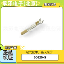 TE̩��60620-5�����ܿ��ܷ���������������ĸ�˹�������������