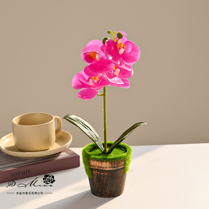 Flor falsa sensación de orquídea mariposa pequeña flor artificial bonsai maceta decoración del hogar fotografía verde decoración de boda flores simuladas