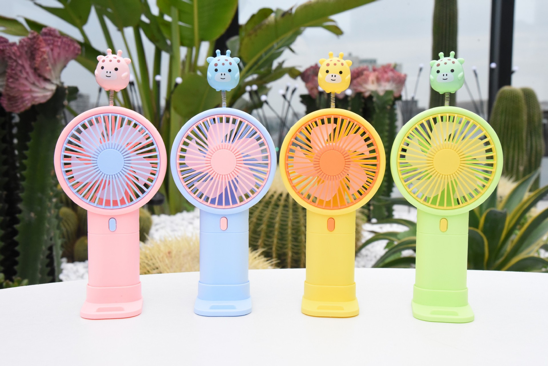 conew_conew_dsc_2900