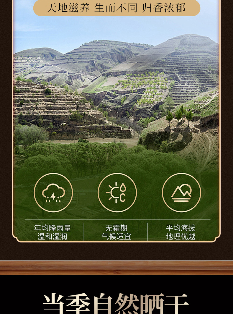 Dang Gui Slices (Angelica sinensis) — Sulfur-Free Minxian Root for Tea & Soup key features