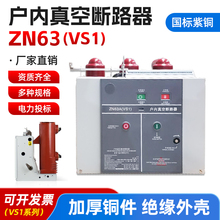 厂家直销户外国标10KV真空ZN63Z断路器VS1-12/630-25固定式手车式