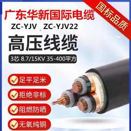 广东华新国际电缆高中压8.7/15KVZC-YJV22系列户外铠装电力电缆
