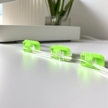 �S�ҹ��� 12���b��ճ늾������� �̶��A ���������� �������̾��A