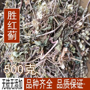 ���u �ټt�E�� �׻����� 500�˰��]��؛��؛