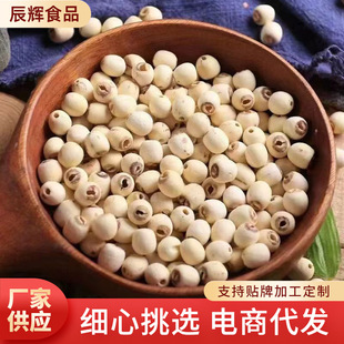 ɏ�ӬF؛���� ��ɏ�Ӹ�؛�o��250gͨо��ɏ��ĥƤȥоɏ�����l