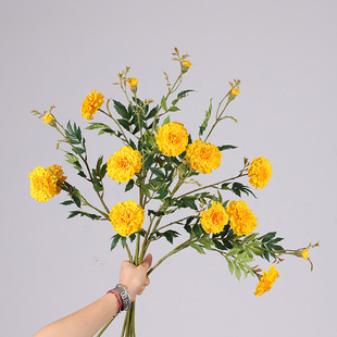 ���滨�f�۾� �ҾӾƵ��b��������̼ٻ���������ջ����l����