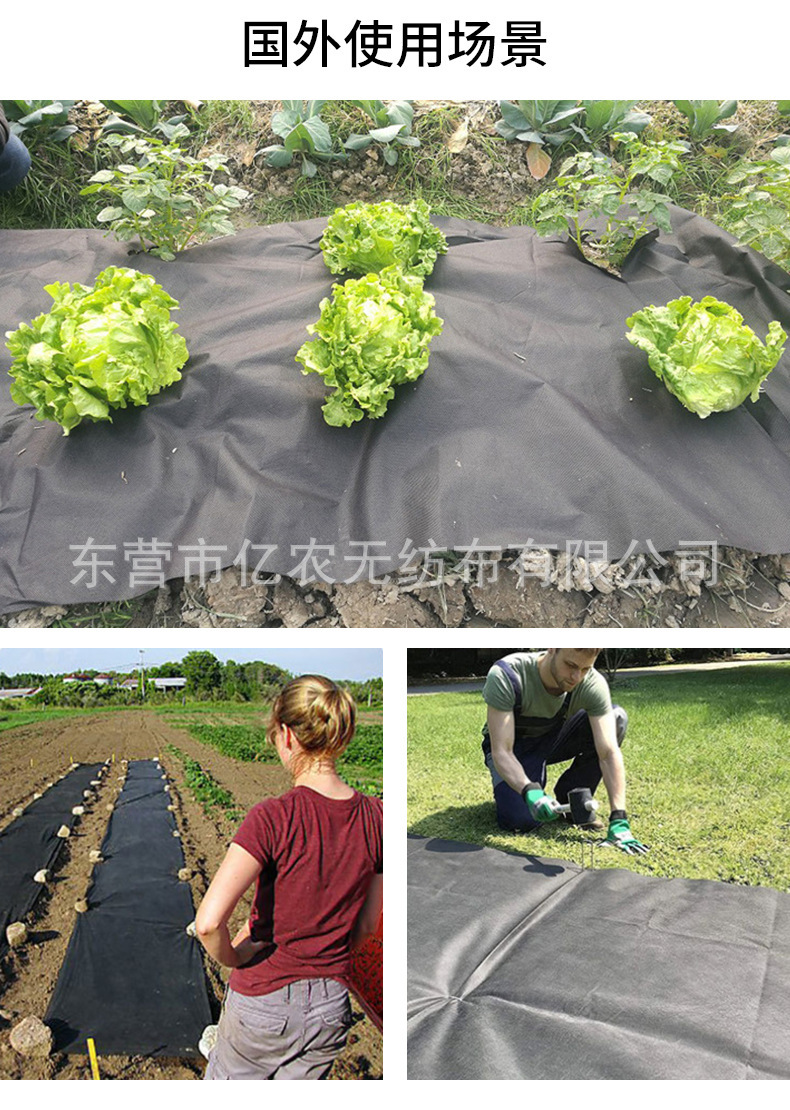 O1CN01XmGjEi1bWgVotXObX_!!2924243473-0-cib.jpg?__r__=1722236159229