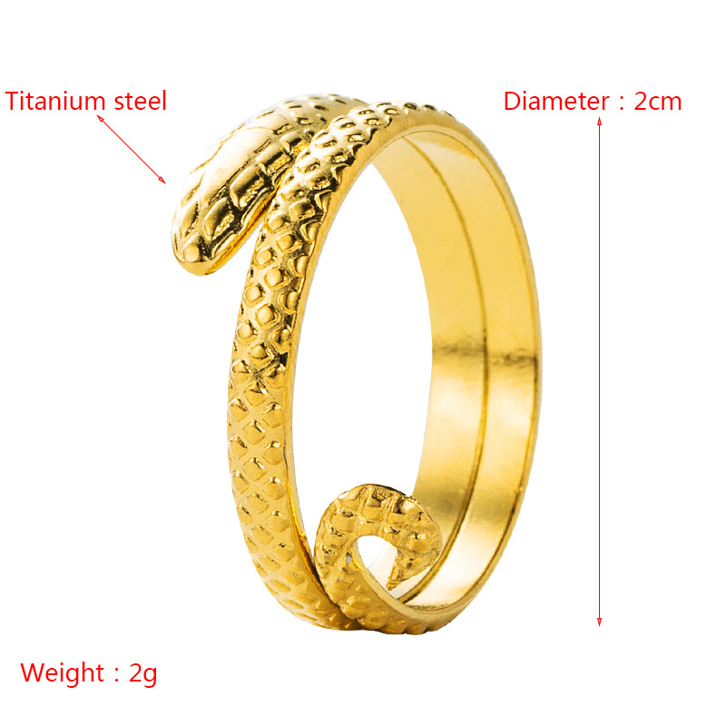 European And American Simple Fashion Titanium Steel Ring Gold-plated Cyberpunk Style Personality Trend Open Ring display picture 1