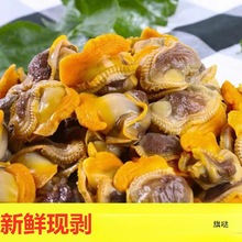 rëɺ؛oɳë͘ѩ⺣⺣r؛Ʒ