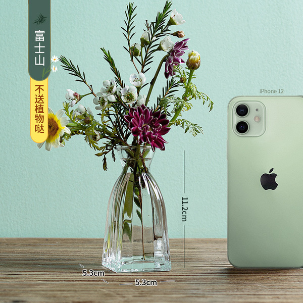 Madrid's French retro glass vase transparent small -caliber flower…