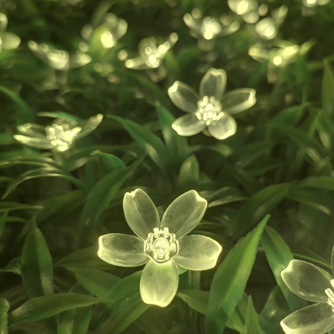 16670869639885728136