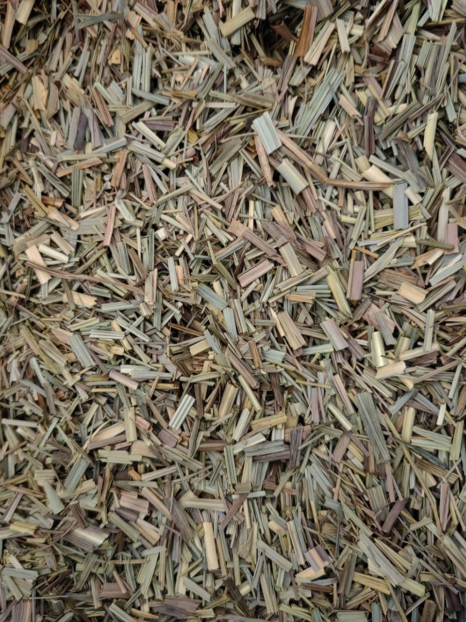 Lemongrass Powder (Cymbopogon citratus) — Dried Xiang Mao Cao Food Herb, 500g in use