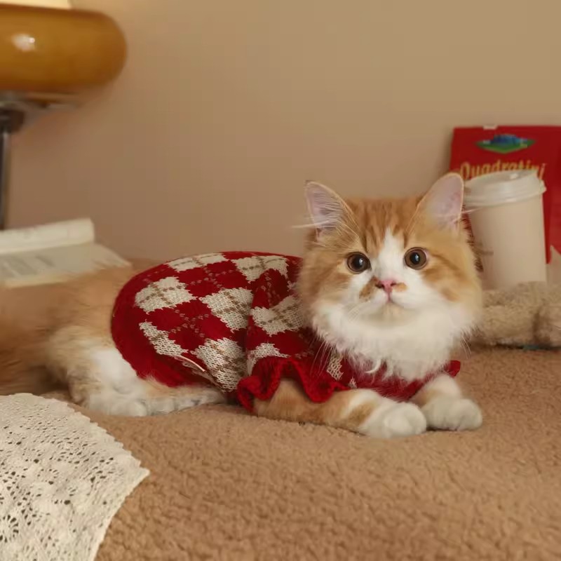 Gato Ropa Otoño Suéter marioneta gato capa gradual lindo mascota invierno Otoño e Invierno gatito anti-pelusa ropa de otoño
