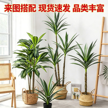 ����Gֲ�����Wʽ�L�͏d���ͷ��������҃��쾰�b��W��������