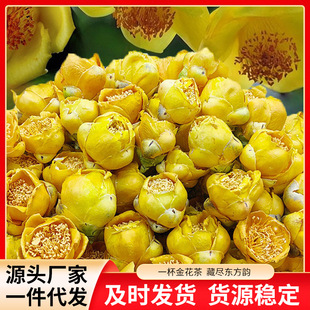 ���Sֱ�l�𻨲�F؛���l��Ȼ���L�˹����x���w���仨�����㻨��