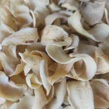 ���l��ș�ĺ��������ٺϴ�Ƭ�m����ٺ�șʳͬԴ��Ȼ�o���x�F؛