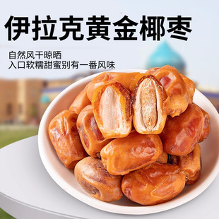 �������l�������S��Ҭ����Ҭ����؛ ɳĮ���Ҭ�����ʺ�Ҭ��