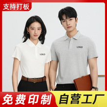 190�˽z�⽛����ض��伃ɫ���Ipolo������logo�������߼��й��b