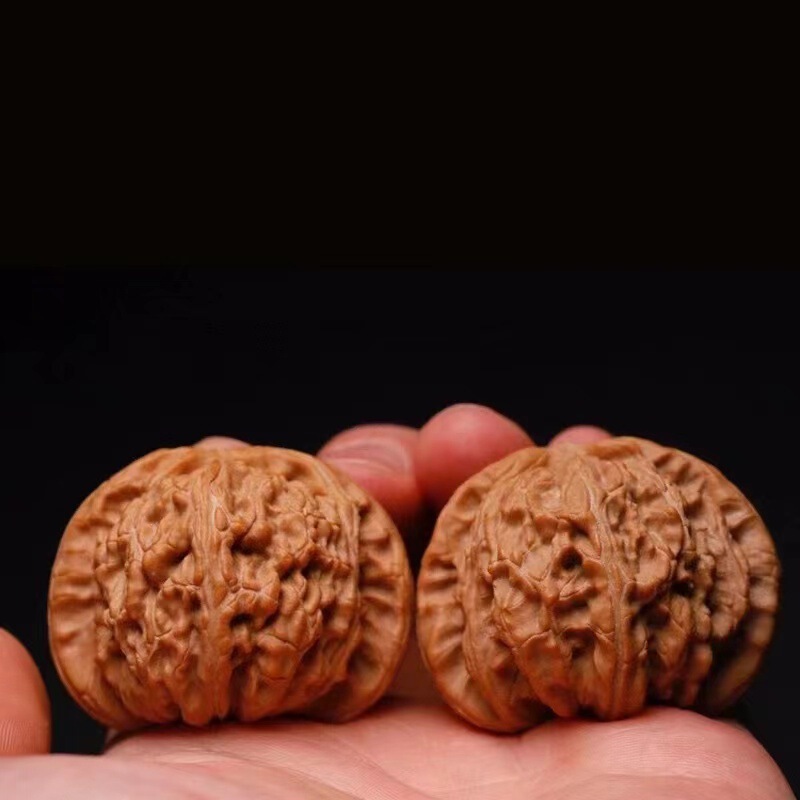 開背ヒキガエルの頭の文はクルミの低い杭を遊んで、先の古い木の延慶の金のヒキガエルの手は収集級の男女を遊んでクルミを遊びます。|undefined
