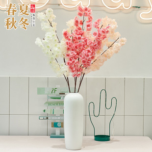 ����ѻ��ٙѻ�֦�һ��ٗl�[�Ż�ˇ�b͏dģ�͆�ֻ/���҃Ș���