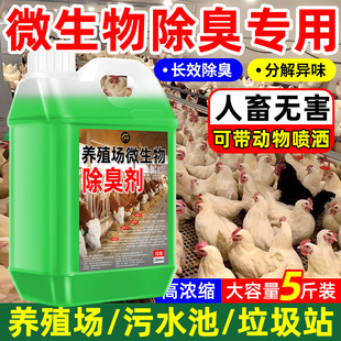 �Bֳ��΢������􄩻��S���B�i���B�u��������՚���������ζ