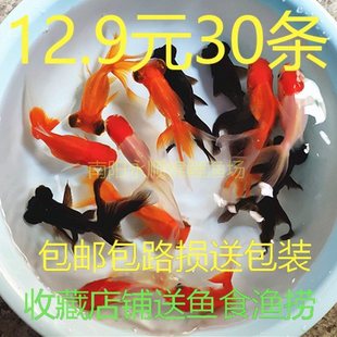 С���~���~С�\���~����ˮ�^�p�~��С�~����~��ˮ�~�ןᎧ�~���B