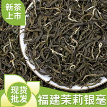 2024横县新茶茉莉银毫浓香型茉莉绿茶散装特级茉莉花茶厂家批发