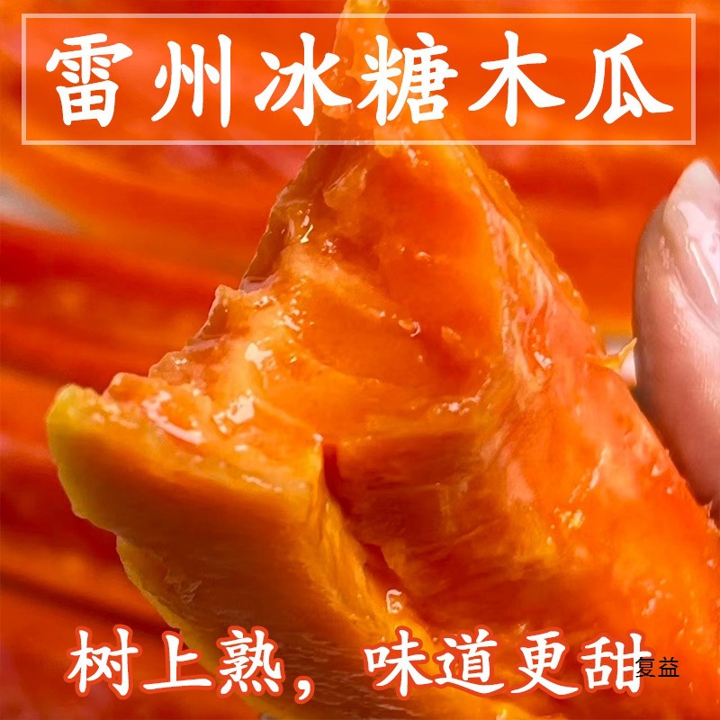 红心木瓜树上熟雷州冰糖新鲜水果现摘包邮产地直发包邮