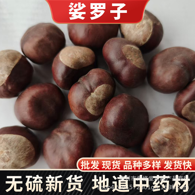 梭罗子婆罗子桫椤果 梭椤果婆罗果中药材娑罗子冷背代发