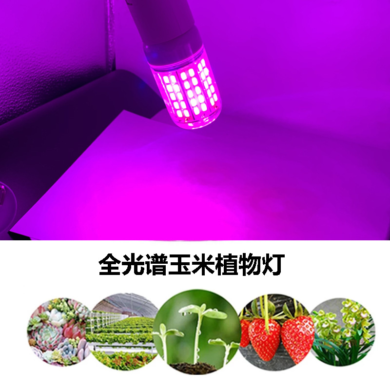 新款led植物玉米灯泡E27 96珠5730夹子植物生长灯多肉植物 补光灯