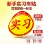 上路实习新手标志反光贴