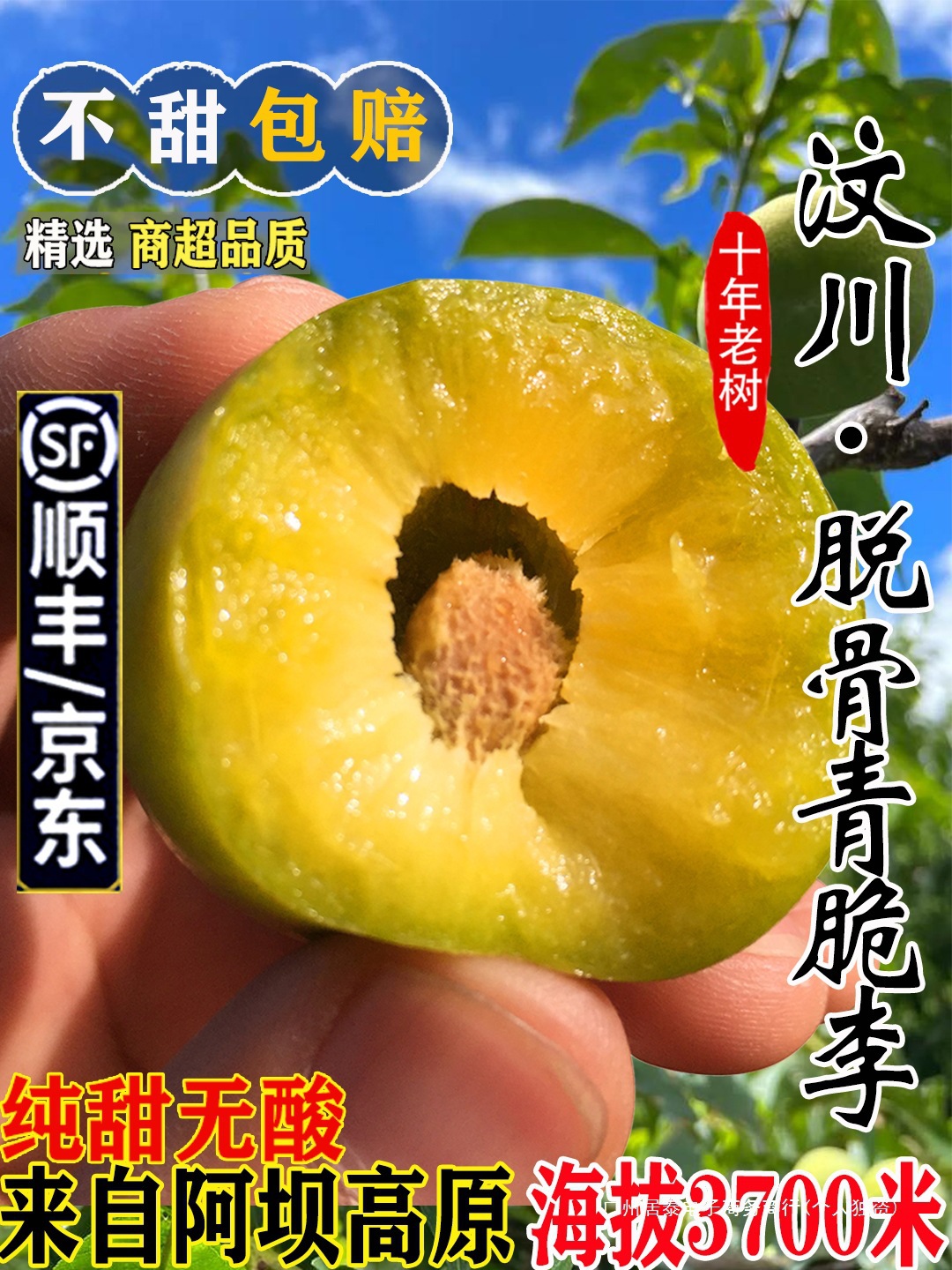 四川汶川青脆李脱骨李冰糖李脆甜李孕妇新鲜水果5斤顺丰包邮李子