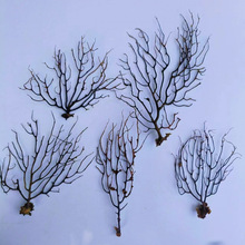 ���F�亣��΢���^�쾰���Bƿ�[���b�ˮ�����쾰�������纣����